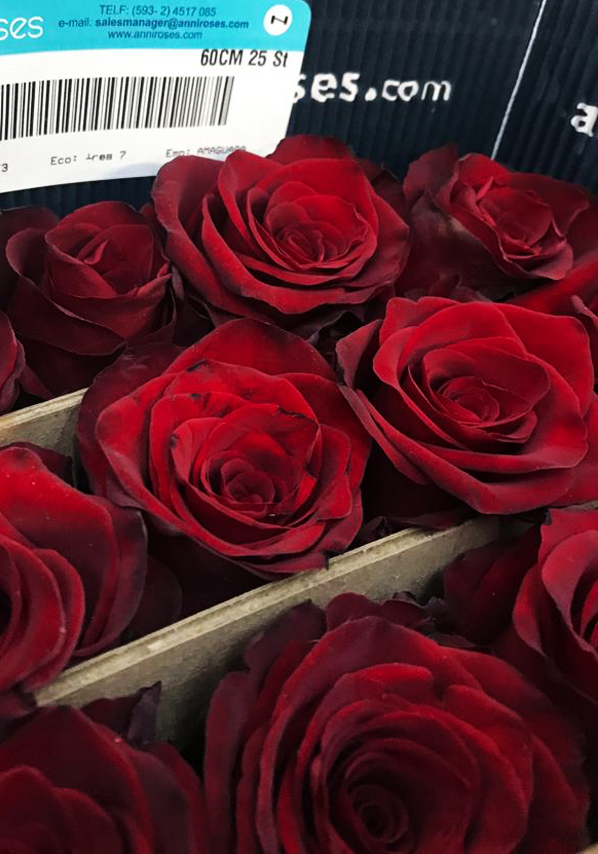 exim.flowers about us